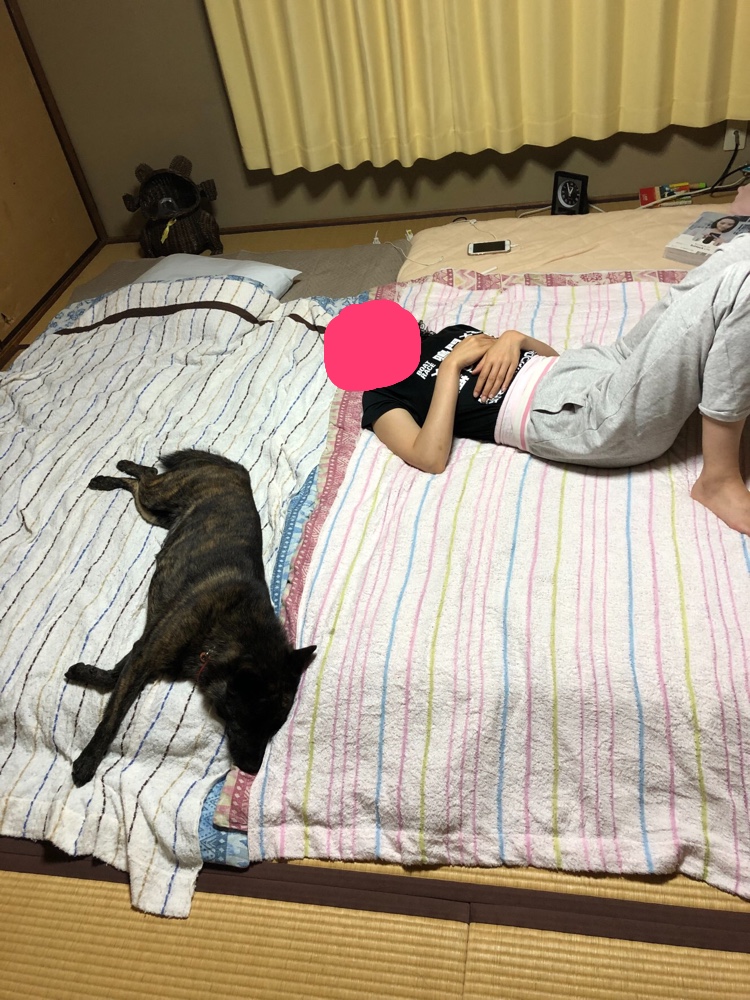 f:id:drunkard_kim:20190914075810j:plain