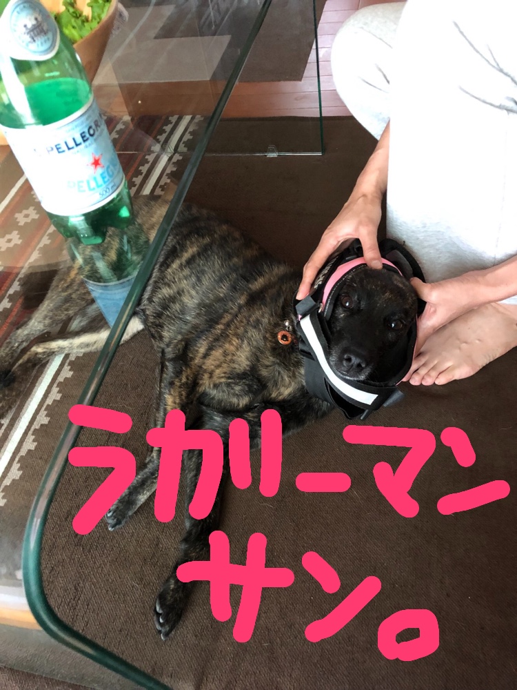 f:id:drunkard_kim:20190915174832j:plain