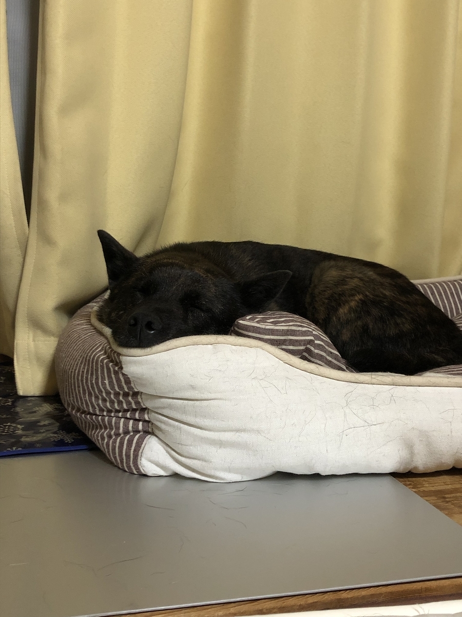 f:id:drunkard_kim:20190916075925j:plain