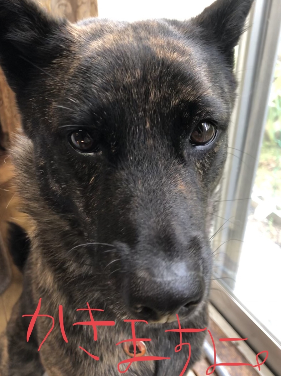 f:id:drunkard_kim:20190917103430j:plain