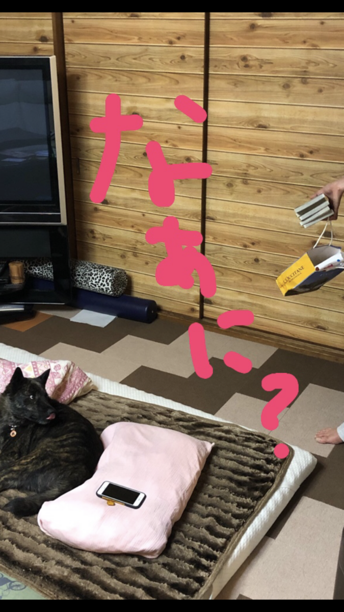f:id:drunkard_kim:20190920085512p:plain