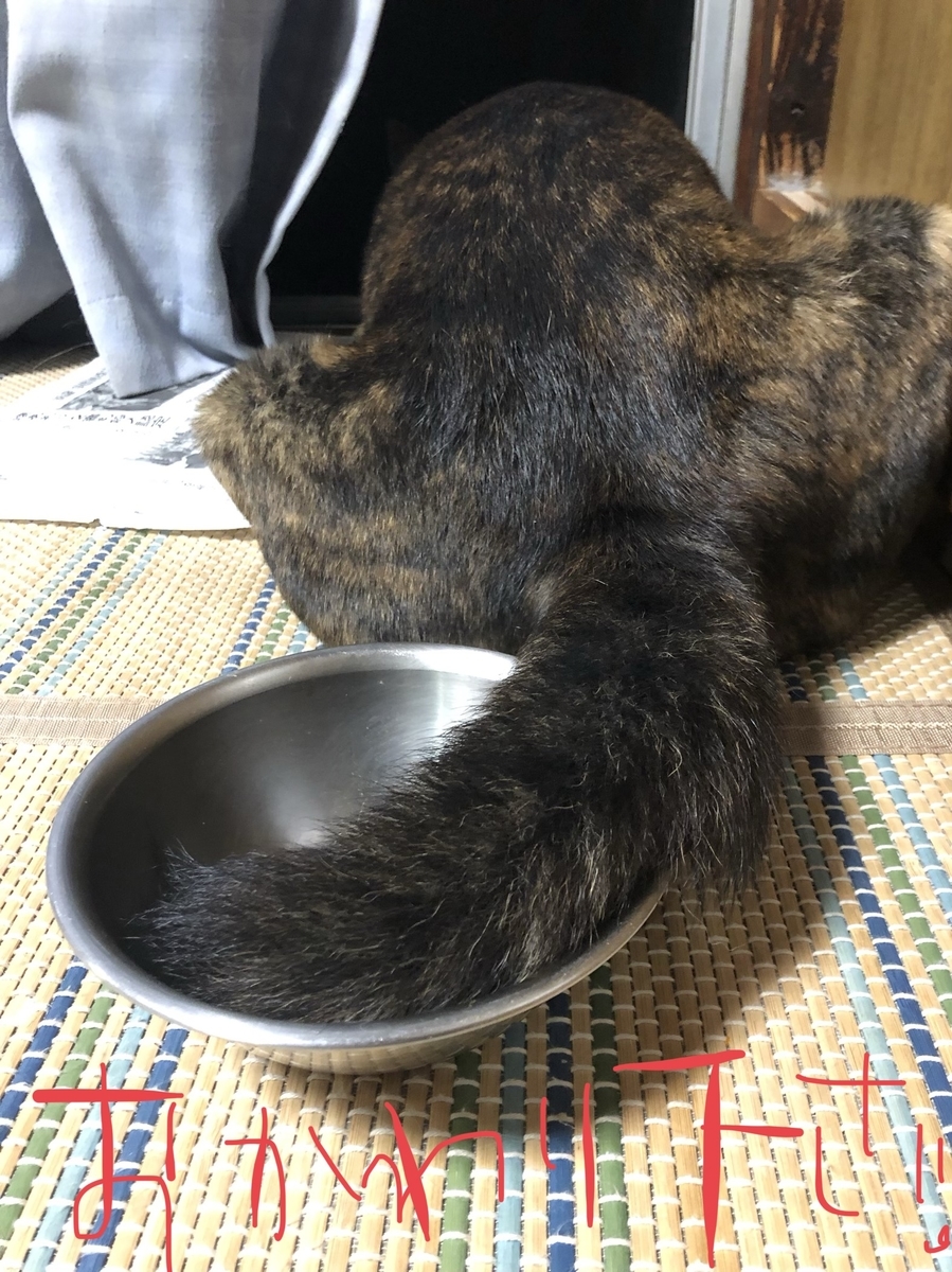 f:id:drunkard_kim:20190921085851j:plain