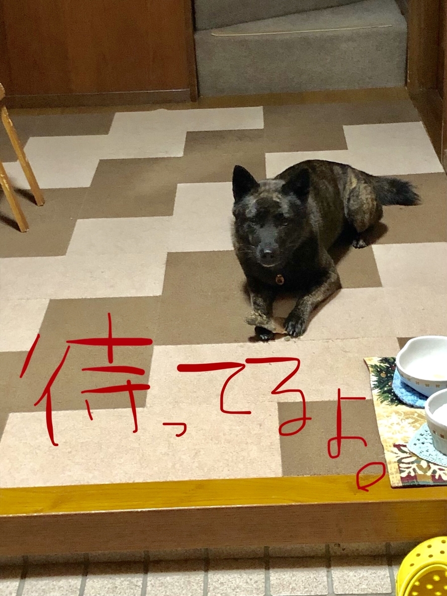 f:id:drunkard_kim:20190924172826j:plain