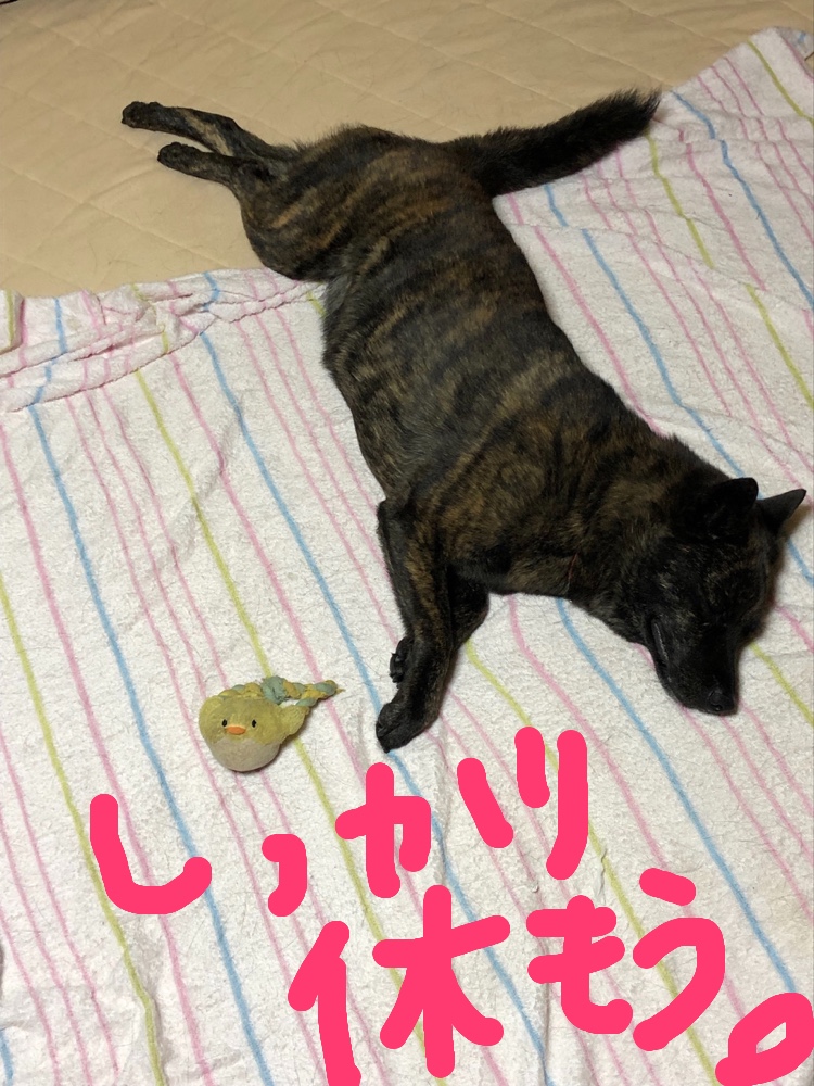 f:id:drunkard_kim:20190929101346j:plain
