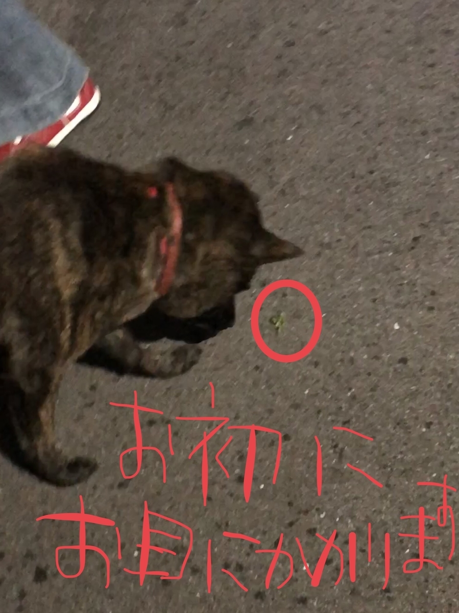 f:id:drunkard_kim:20191001103525j:plain
