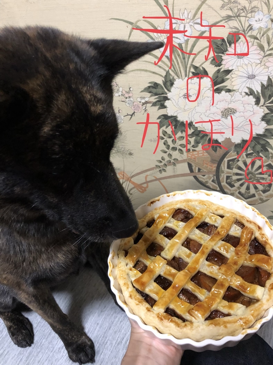 f:id:drunkard_kim:20191002082130j:plain