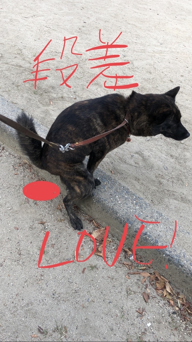 f:id:drunkard_kim:20191003081017j:plain