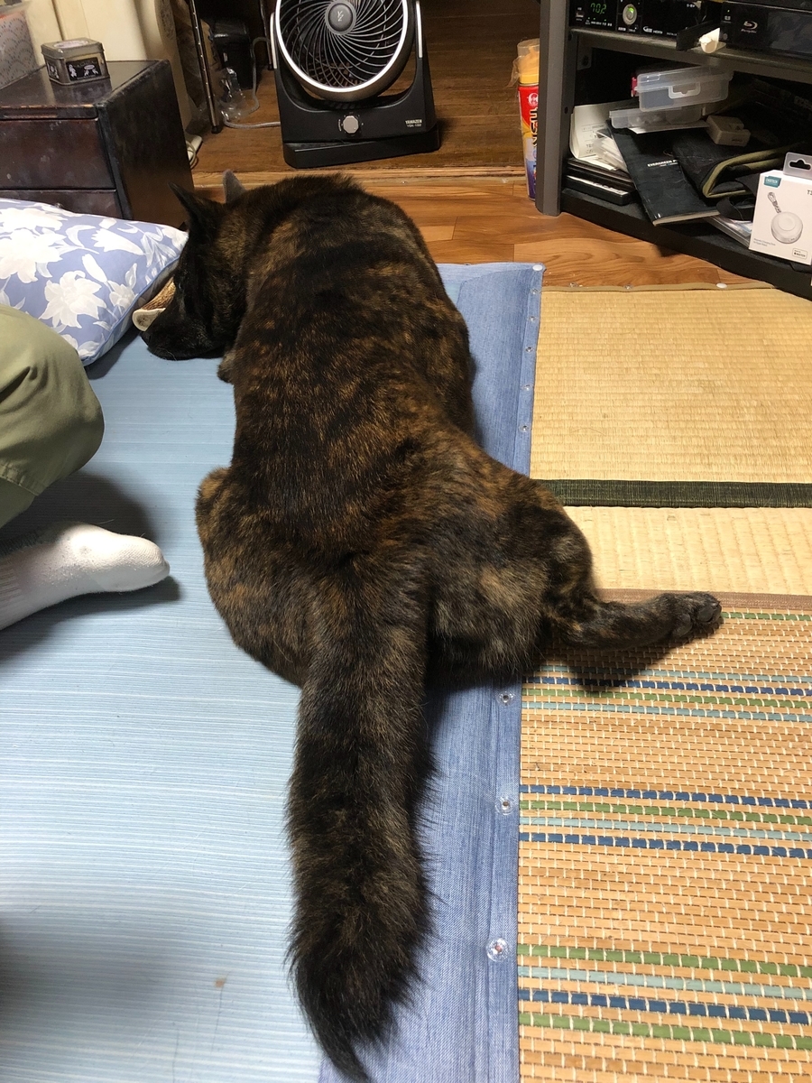 f:id:drunkard_kim:20191003084433j:plain