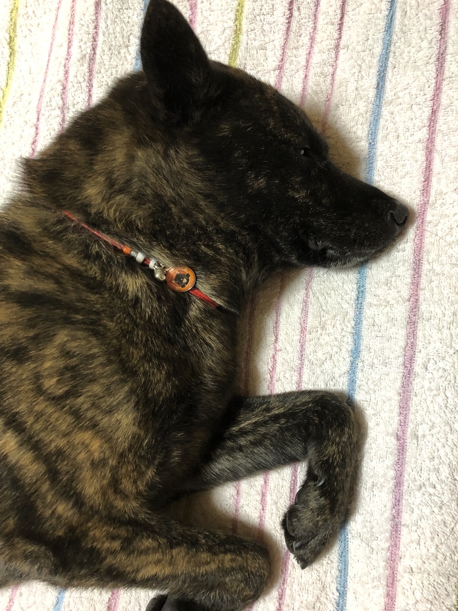 f:id:drunkard_kim:20191003084809j:plain