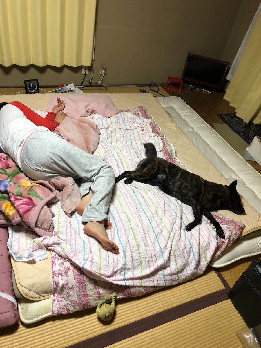 f:id:drunkard_kim:20191004081128j:plain