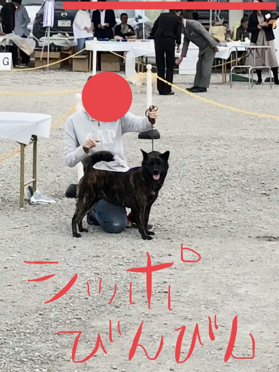 f:id:drunkard_kim:20191006174815j:plain