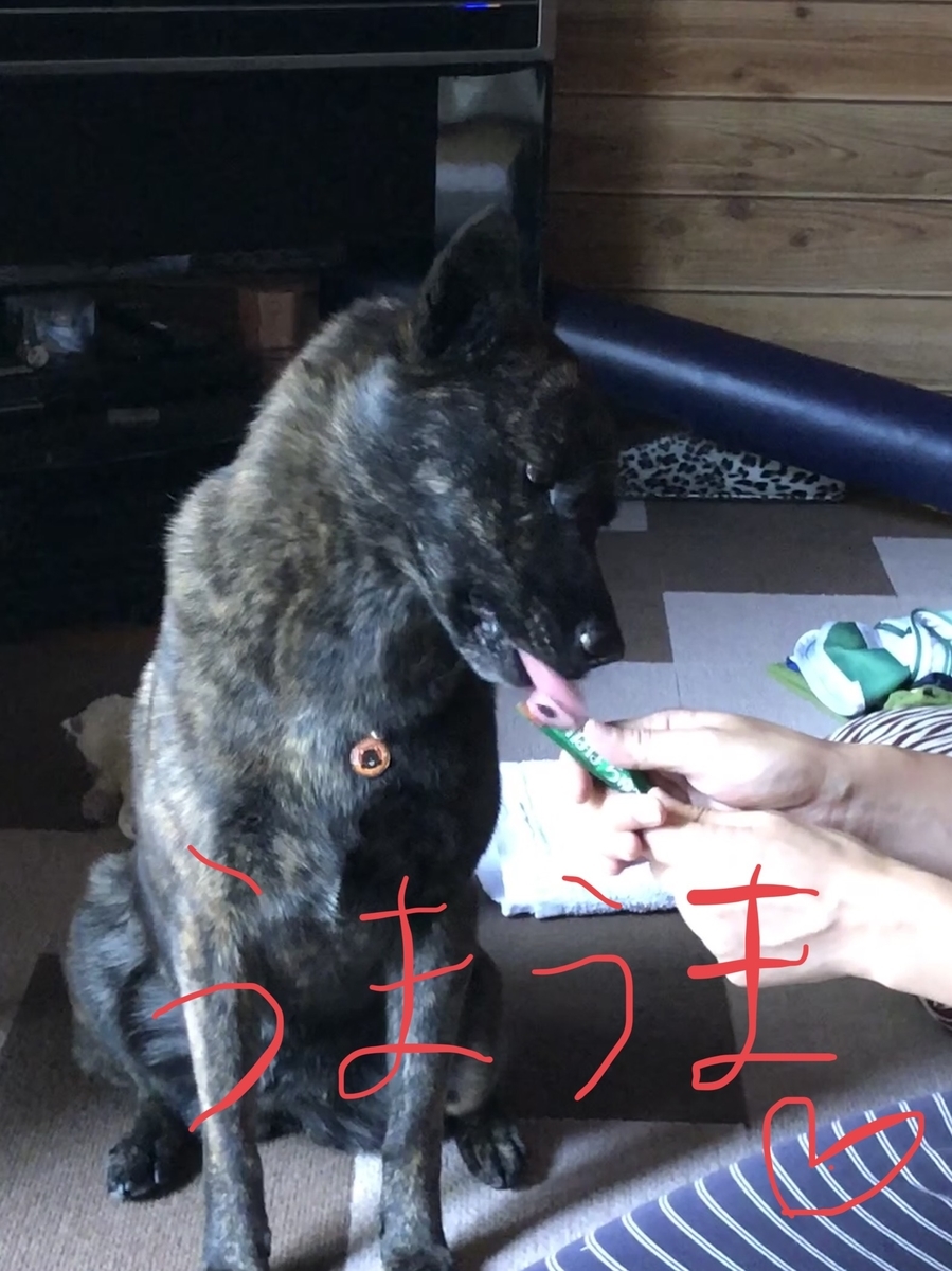 f:id:drunkard_kim:20191007080513j:plain