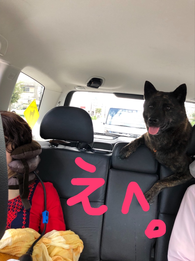 f:id:drunkard_kim:20191010080803j:plain