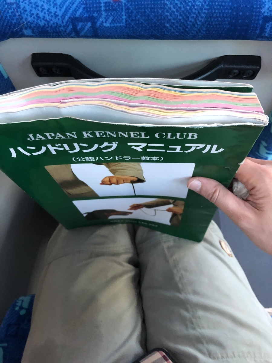 f:id:drunkard_kim:20191010081456j:plain f:id:drunkard_kim:20191010081456j:plain