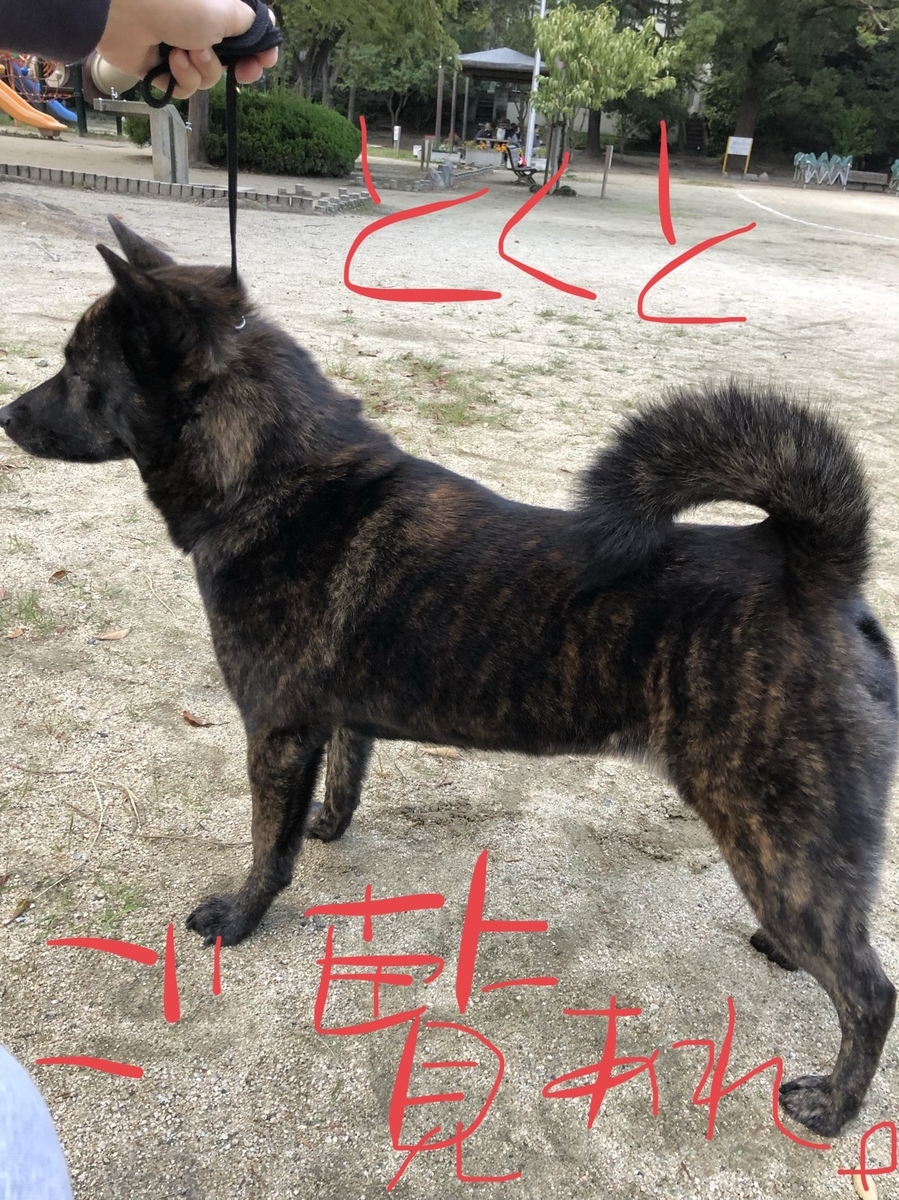 f:id:drunkard_kim:20191014084259j:plain