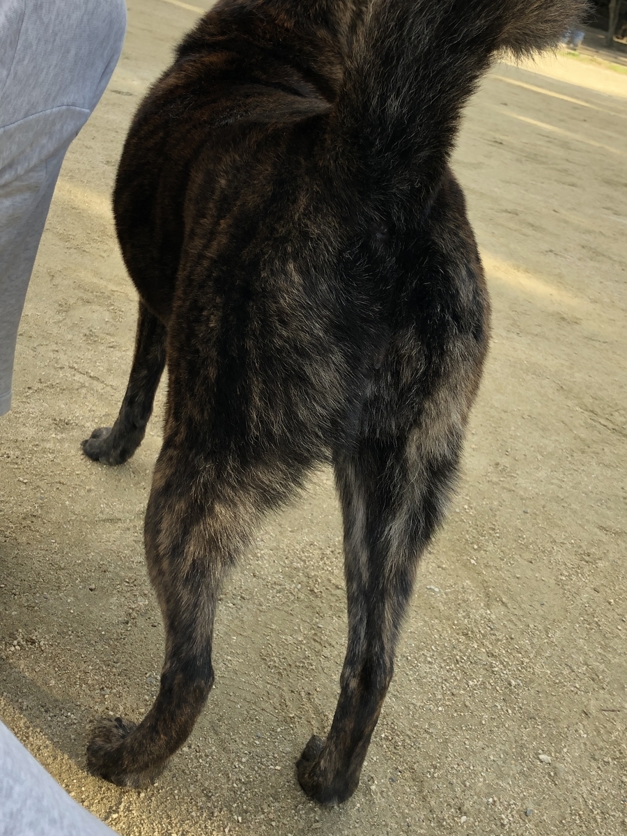 f:id:drunkard_kim:20191017082025j:plain