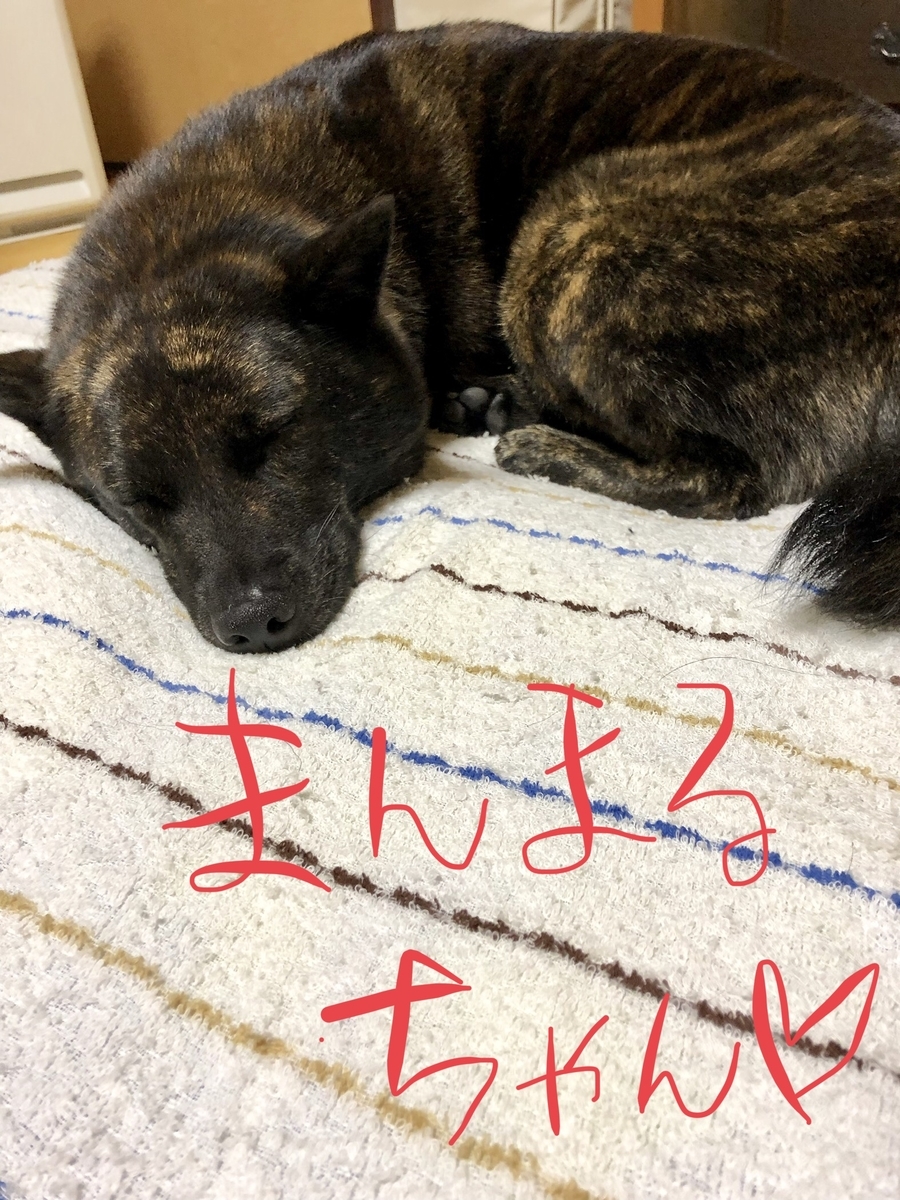 f:id:drunkard_kim:20191018080037j:plain