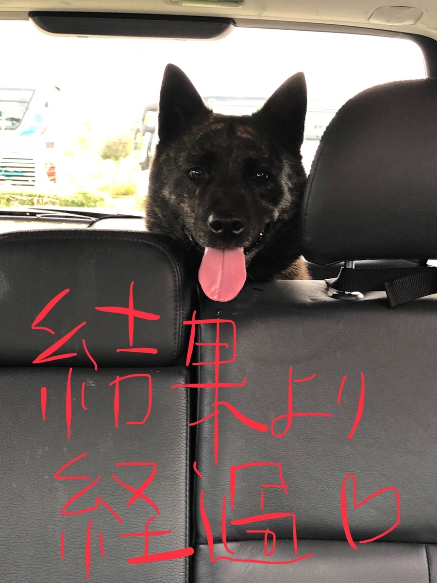 f:id:drunkard_kim:20191020230735j:plain