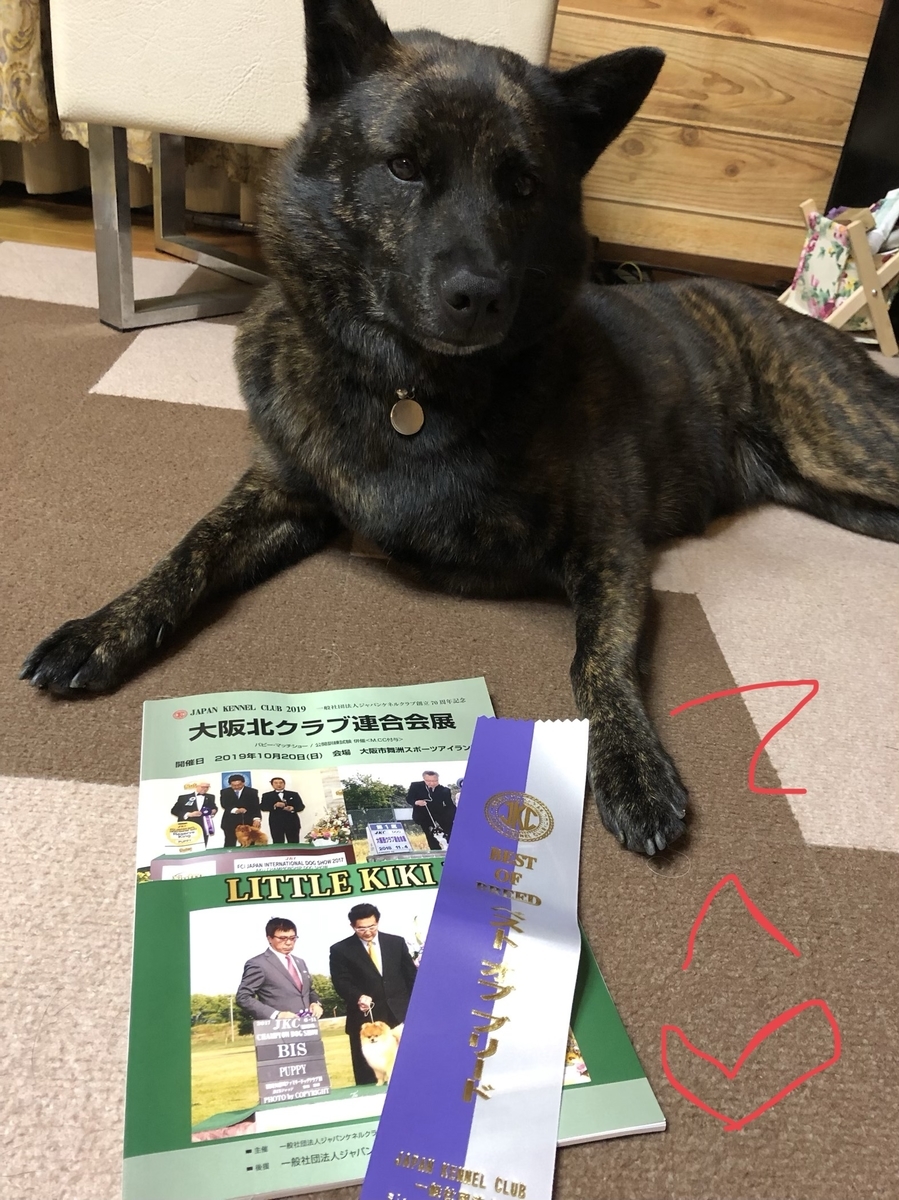 f:id:drunkard_kim:20191020231432j:plain