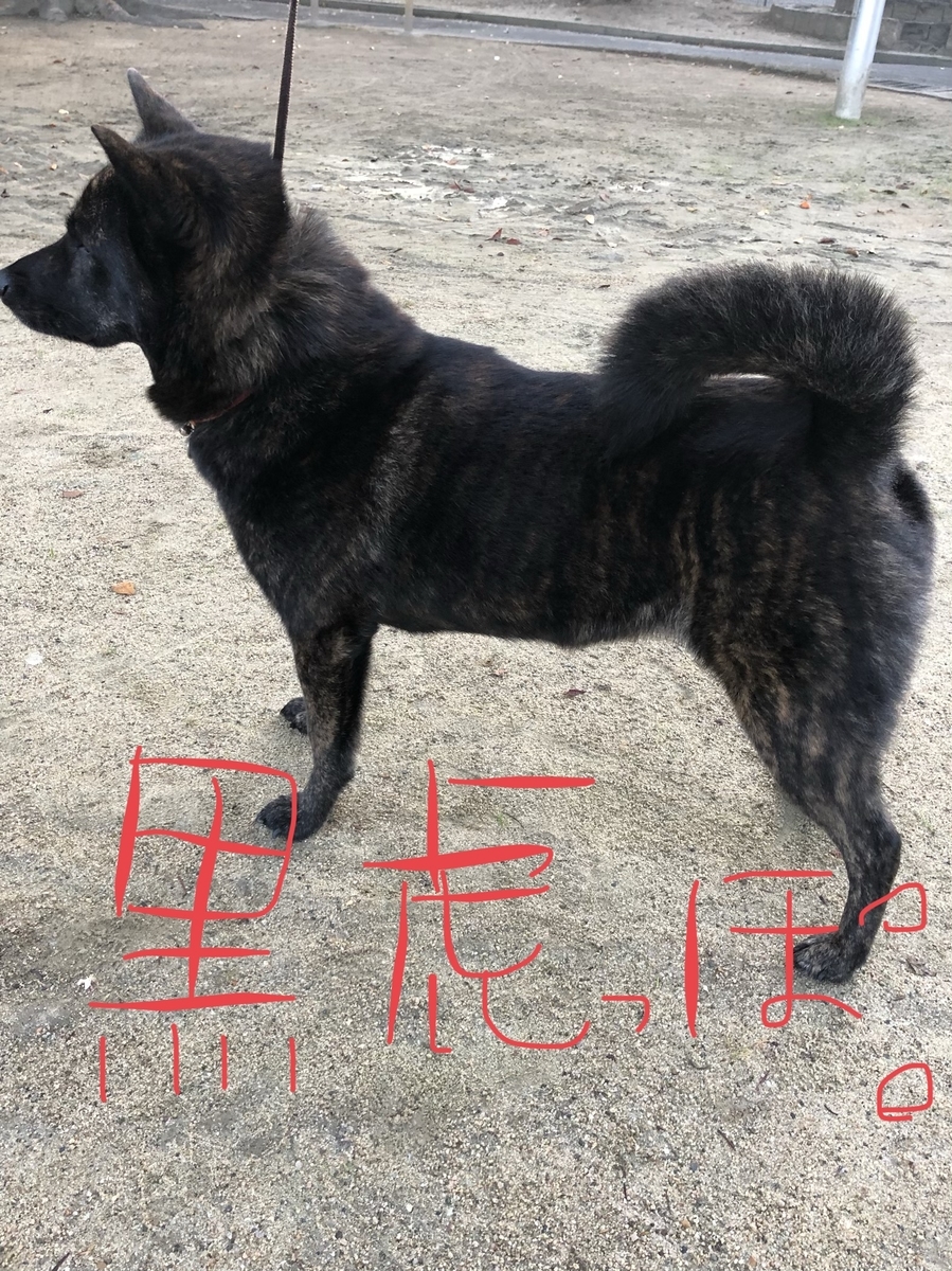 f:id:drunkard_kim:20191029095230j:plain