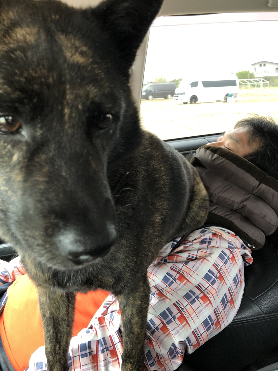 f:id:drunkard_kim:20191103215045j:plain