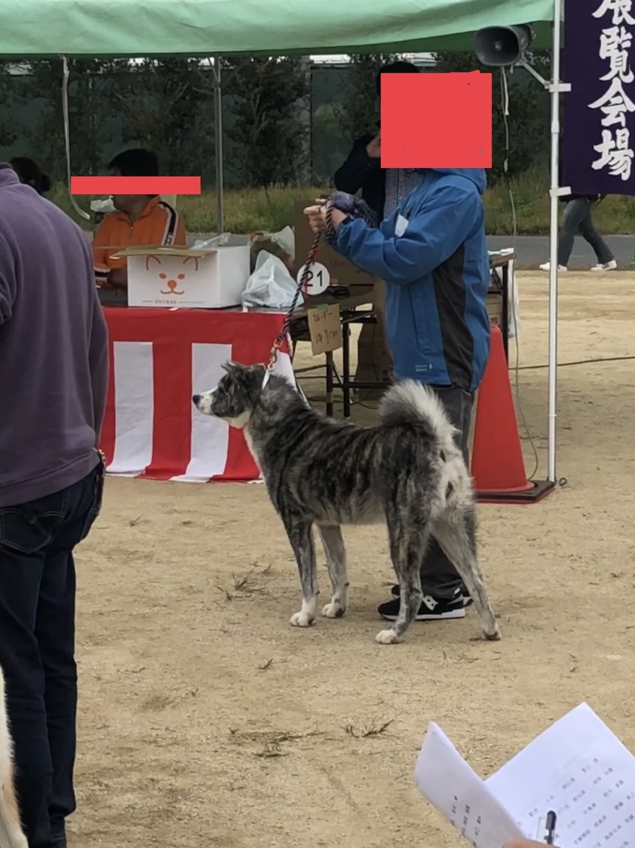 f:id:drunkard_kim:20191107081506j:plain