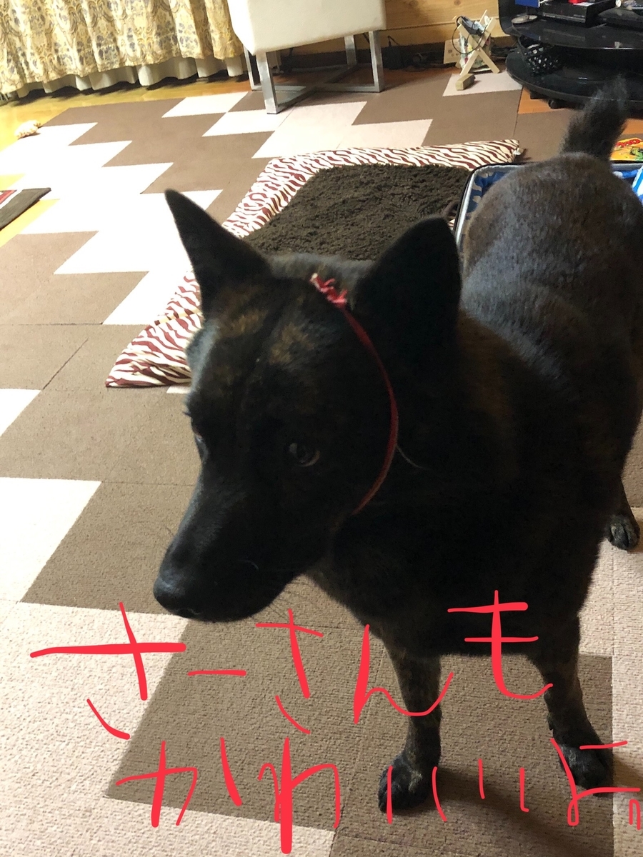 f:id:drunkard_kim:20191107084354j:plain