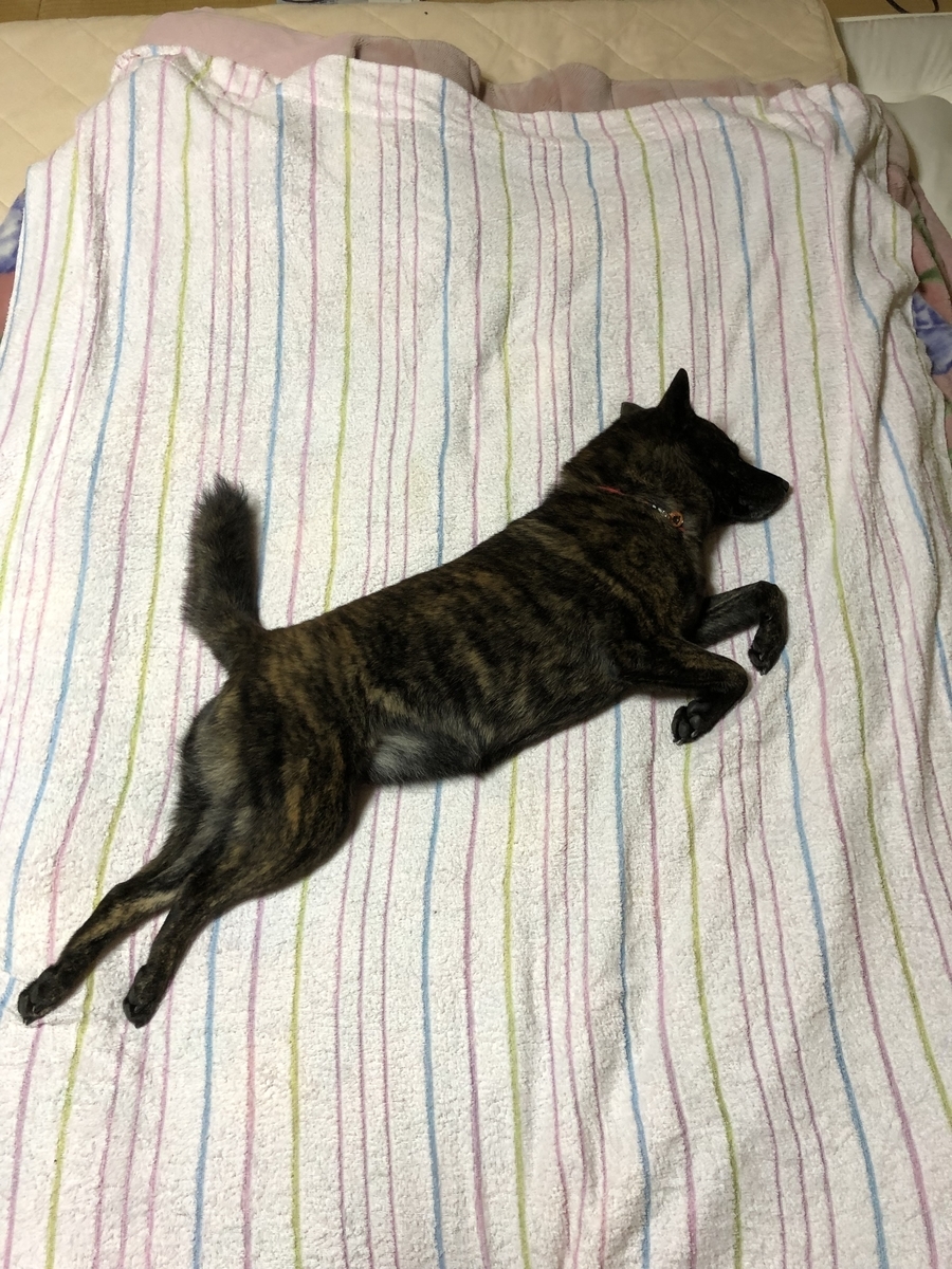 f:id:drunkard_kim:20191108074947j:plain