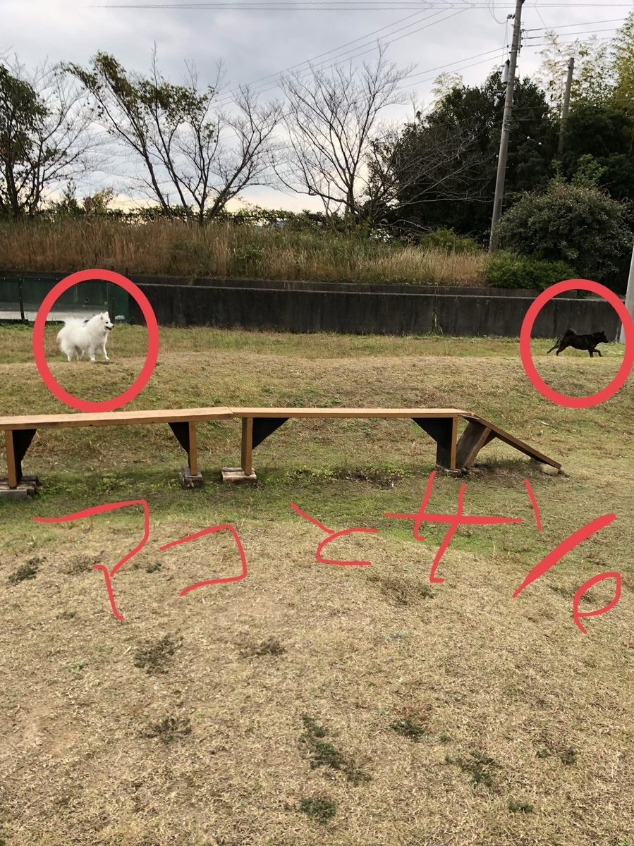 f:id:drunkard_kim:20191111140819j:plain
