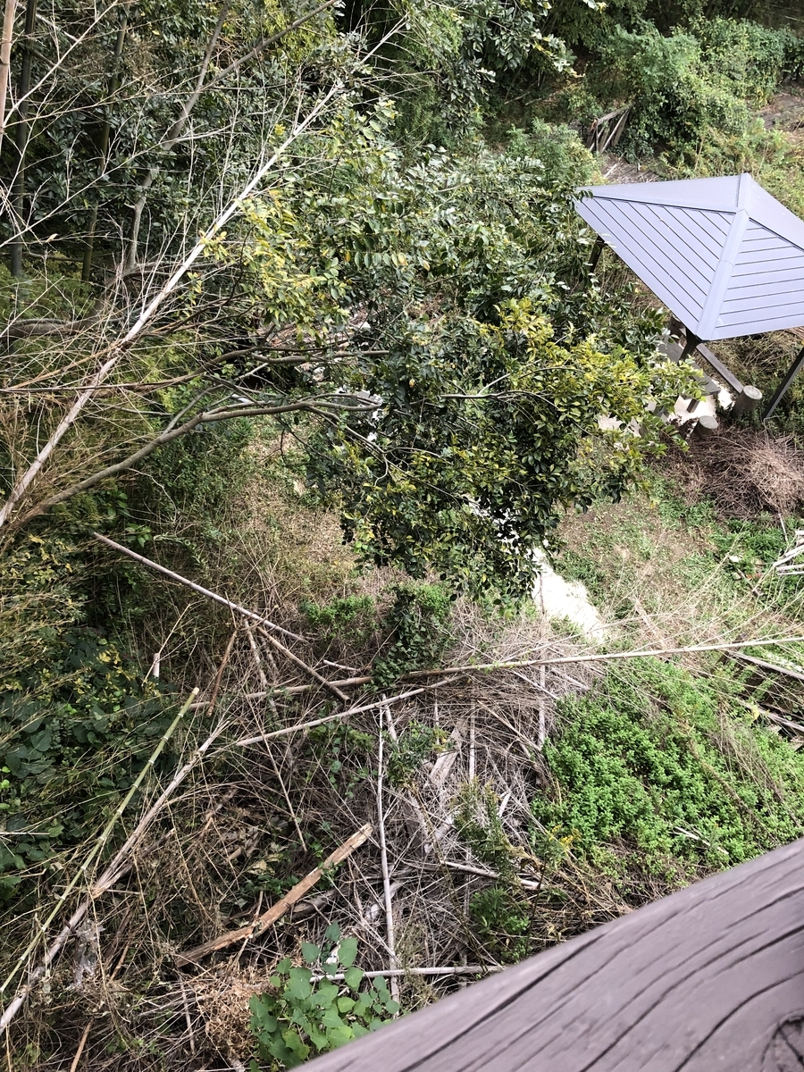 f:id:drunkard_kim:20191111140957j:plain