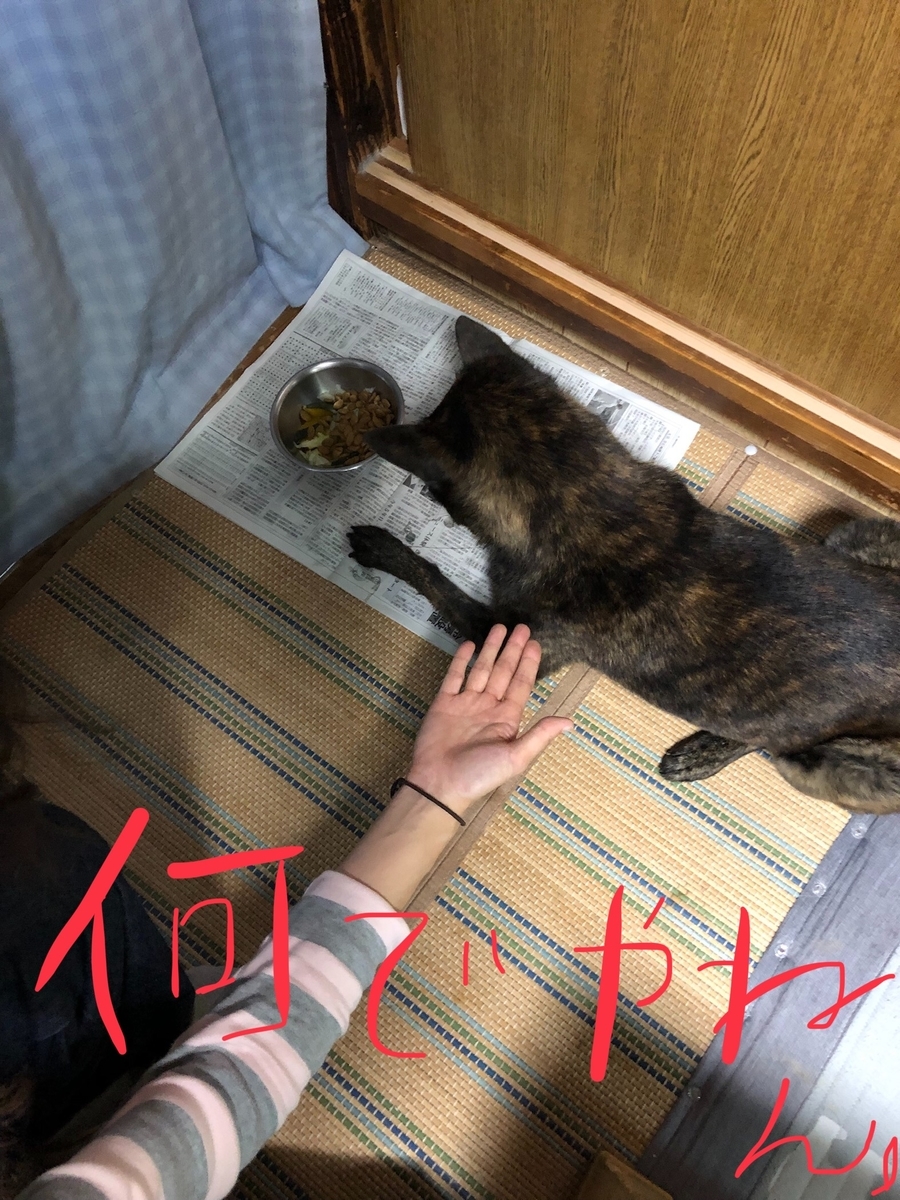 f:id:drunkard_kim:20191114080648j:plain
