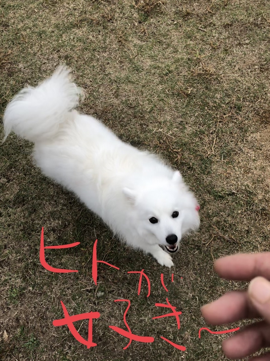 f:id:drunkard_kim:20191114080913j:plain f:id:drunkard_kim:20191114080913j:plain
