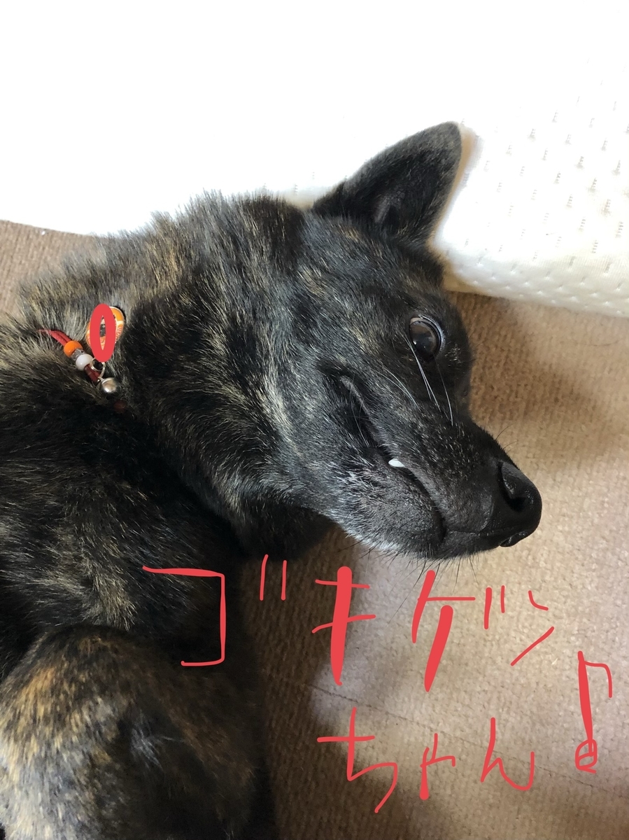 f:id:drunkard_kim:20191116080730j:plain