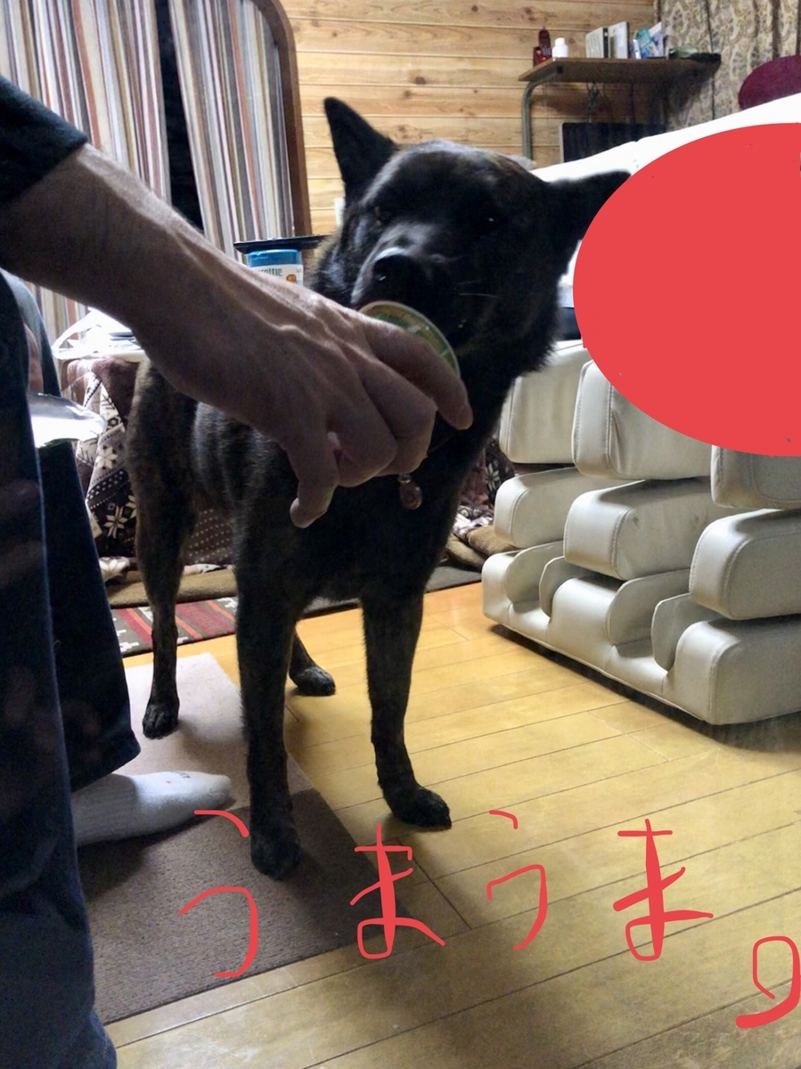 f:id:drunkard_kim:20191122080343j:plain