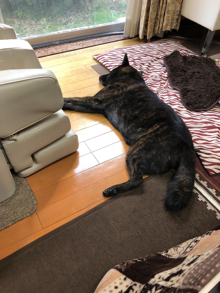 f:id:drunkard_kim:20191123103418j:plain