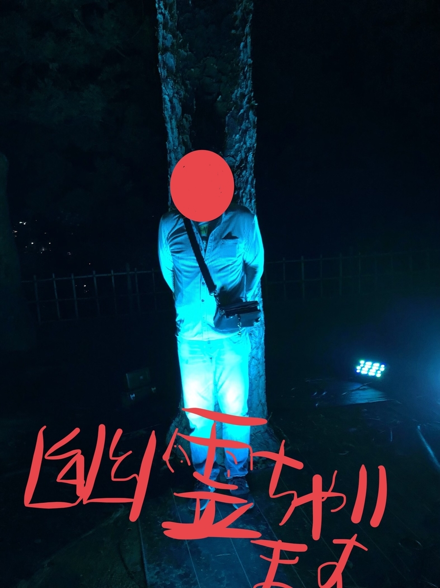 f:id:drunkard_kim:20191124232516j:plain