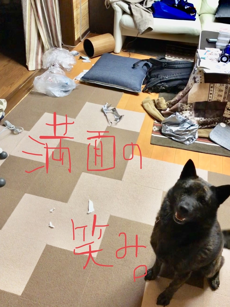 f:id:drunkard_kim:20191124233151j:plain
