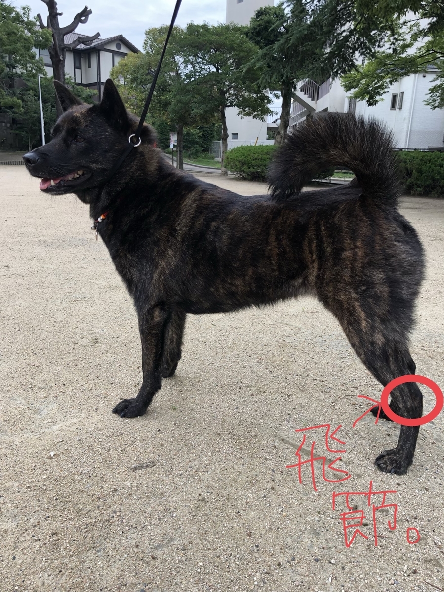 f:id:drunkard_kim:20191126164629j:plain