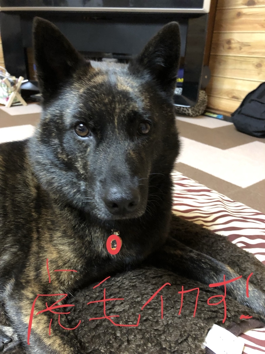f:id:drunkard_kim:20191127080034j:plain