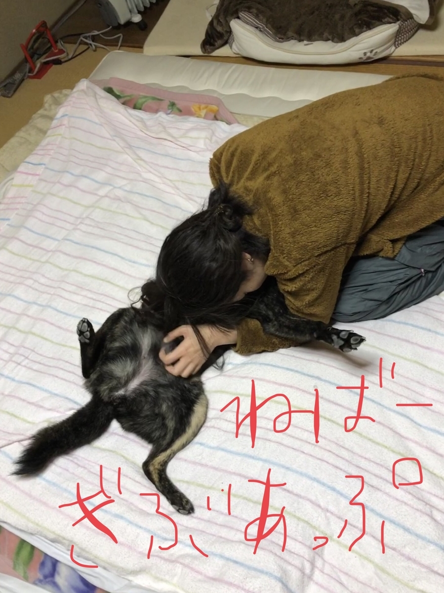 f:id:drunkard_kim:20191202081206j:plain