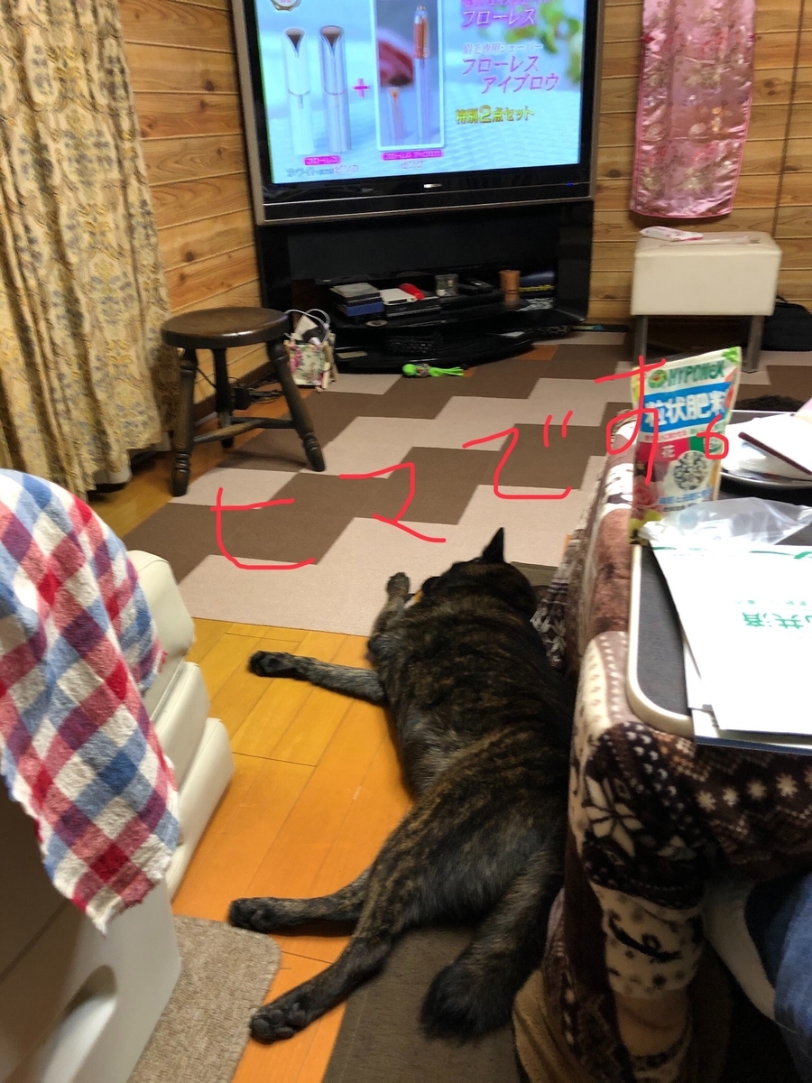 f:id:drunkard_kim:20191208170243j:plain