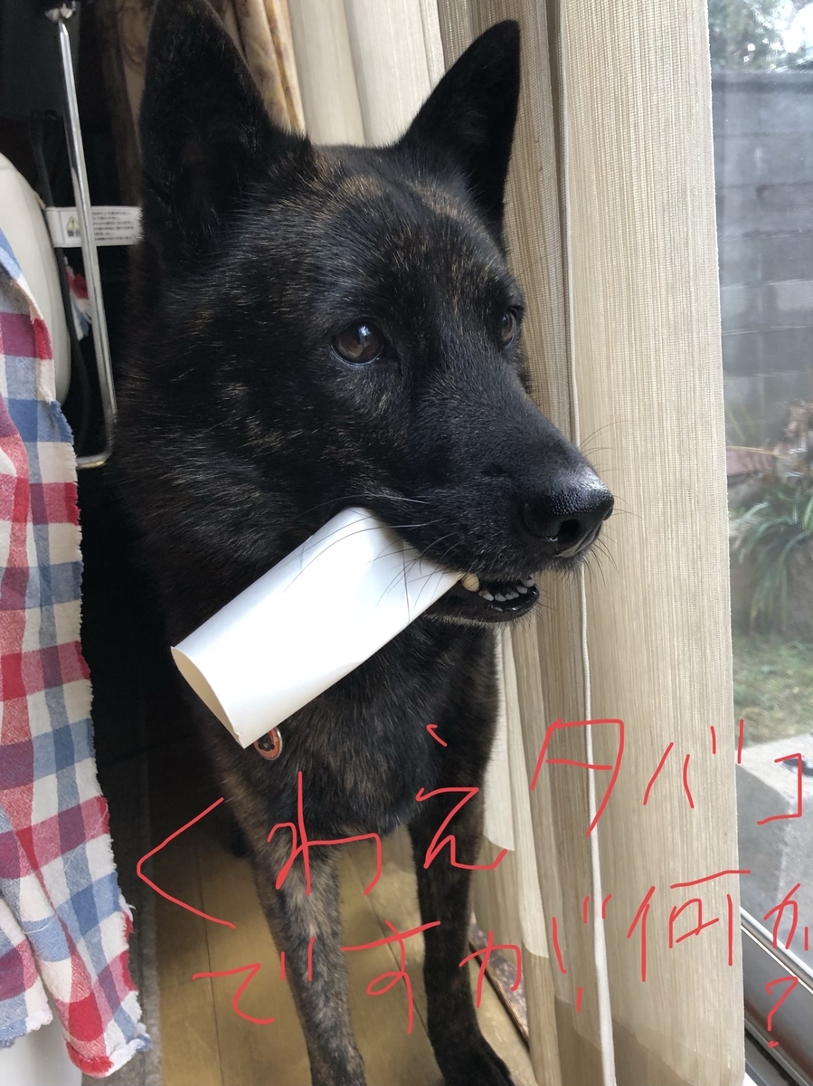 f:id:drunkard_kim:20191209082025j:plain