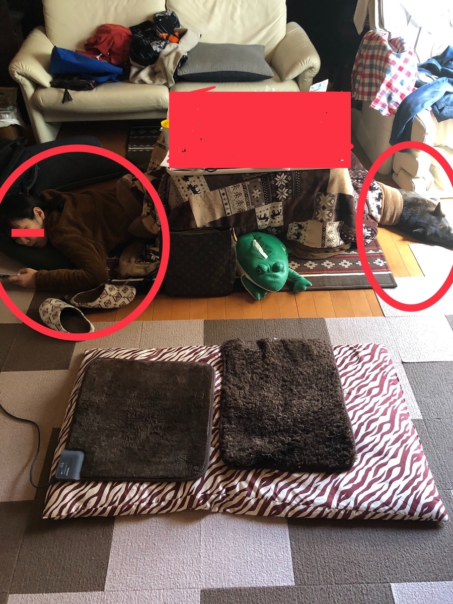 f:id:drunkard_kim:20191212082213j:plain