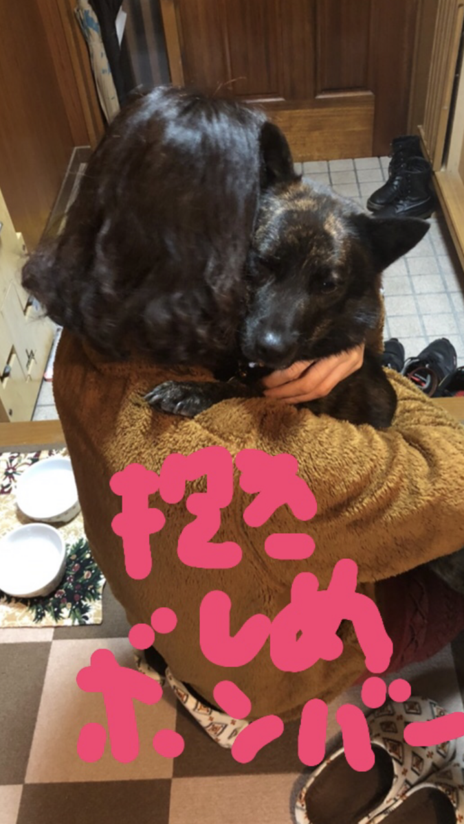 f:id:drunkard_kim:20191213075620p:plain