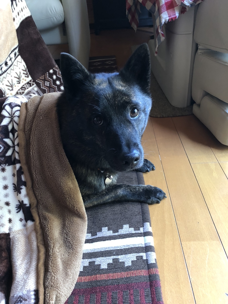 f:id:drunkard_kim:20191216075739j:plain