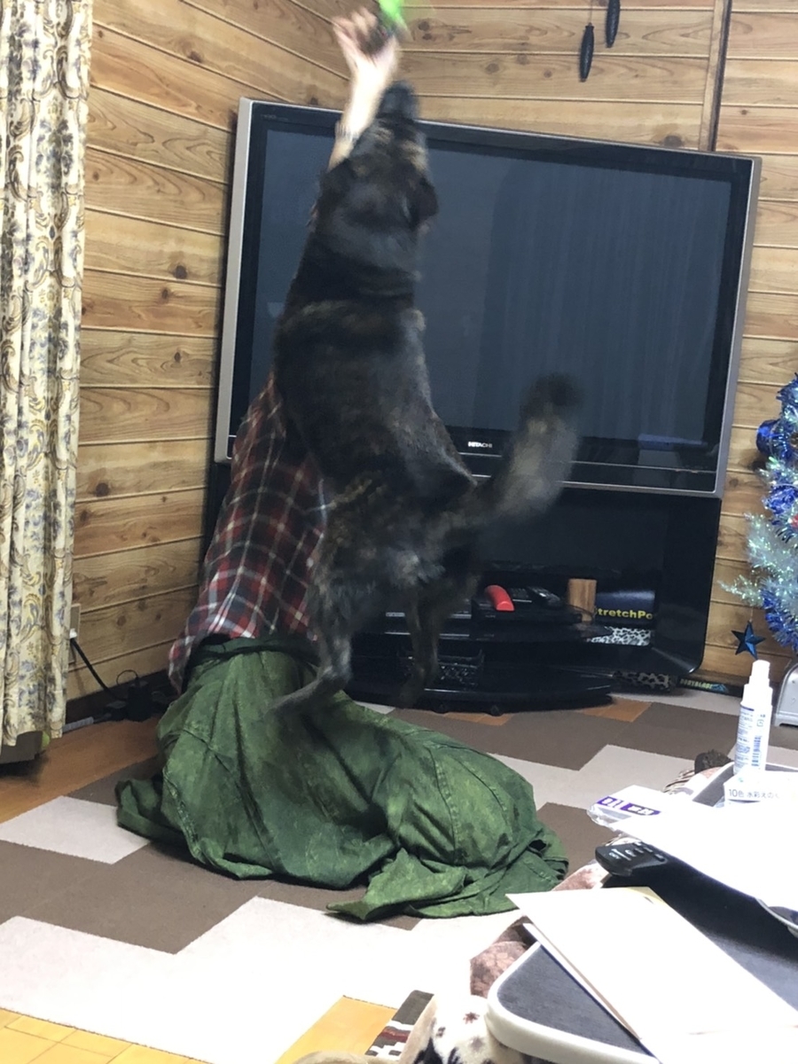 f:id:drunkard_kim:20191225080745j:plain