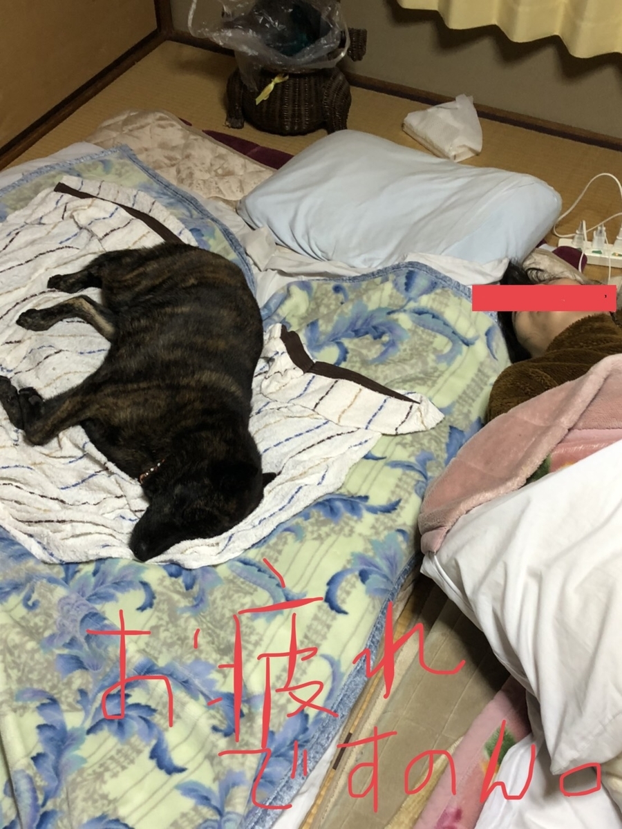 f:id:drunkard_kim:20191226082735j:plain