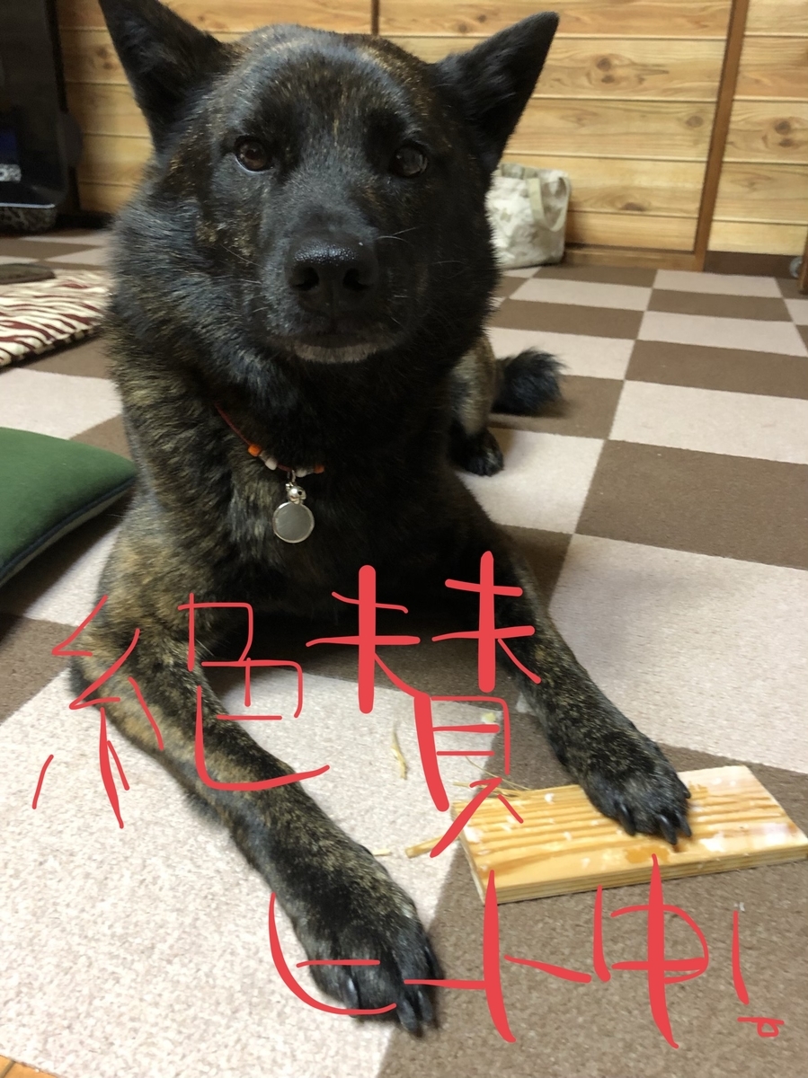 f:id:drunkard_kim:20200107170210j:plain