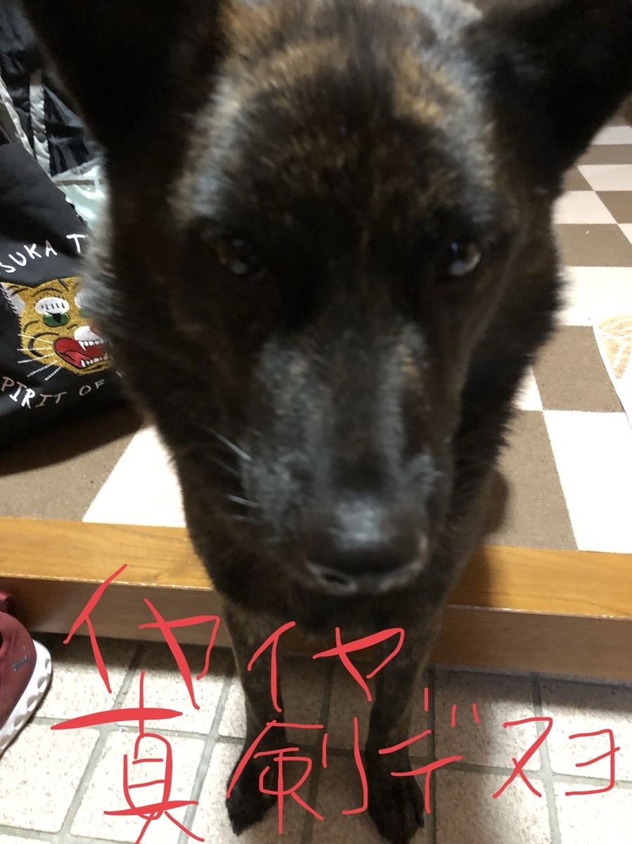 f:id:drunkard_kim:20200110075326j:plain