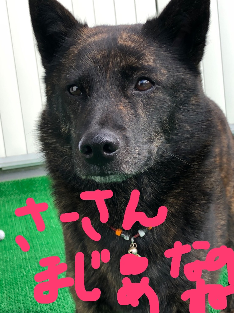 f:id:drunkard_kim:20200122140602j:plain
